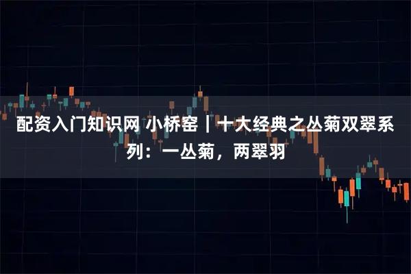 配资入门知识网 小桥窑｜十大经典之丛菊双翠系列：一丛菊，两翠羽